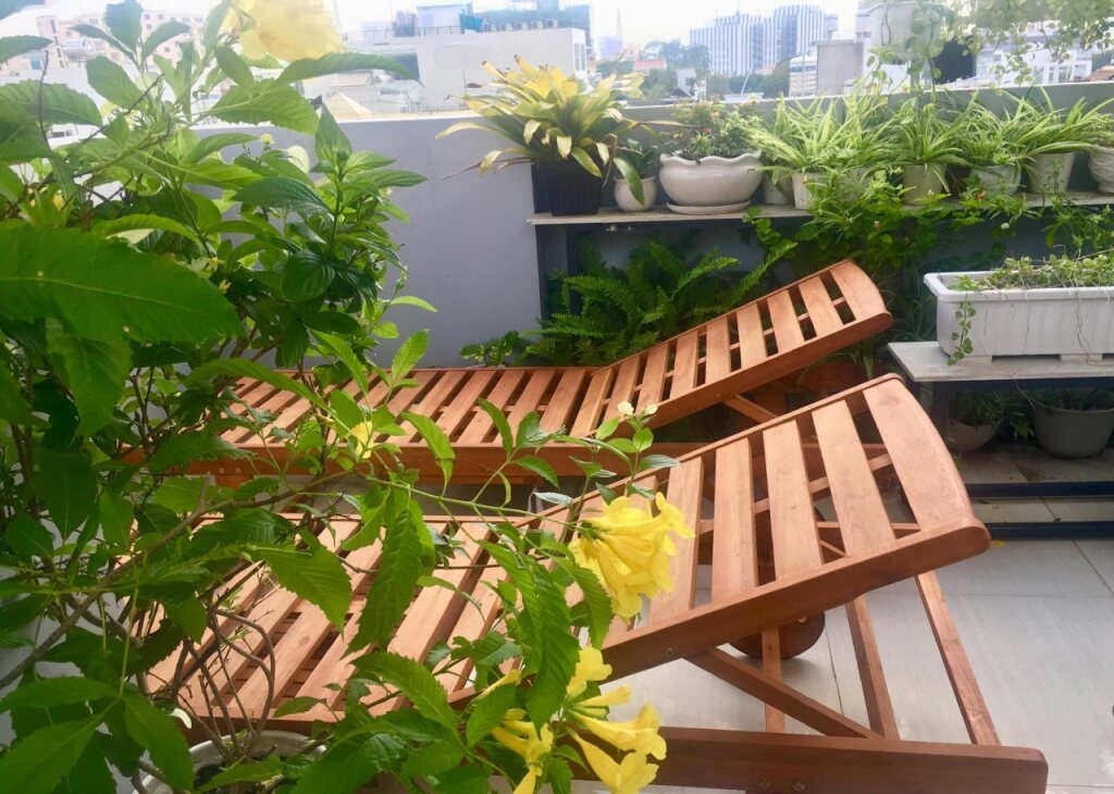WillHome Hostel