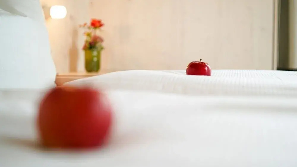 Hotel Bergamo Modern & zentral in Ludwigsburg 24h Check in 3 Min zum Schloss nachhaltiges Hotel in Holzbauweise
