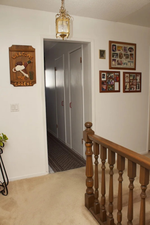Cozy Nest B&B