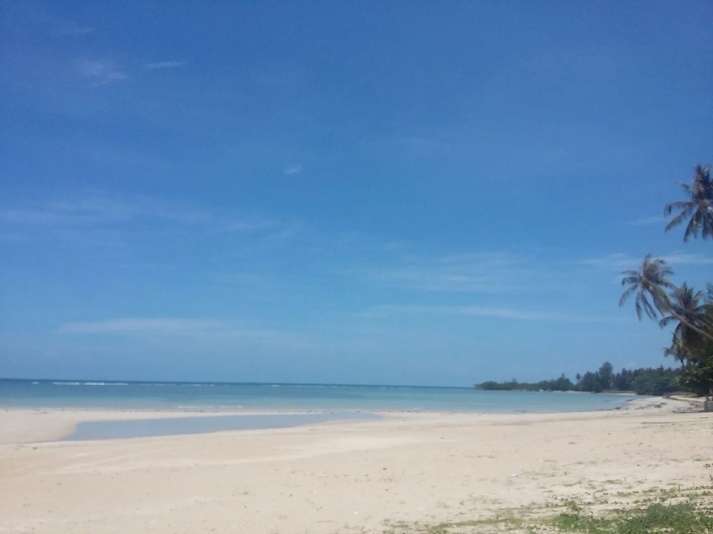 Samui Orchid The Ocean Resort