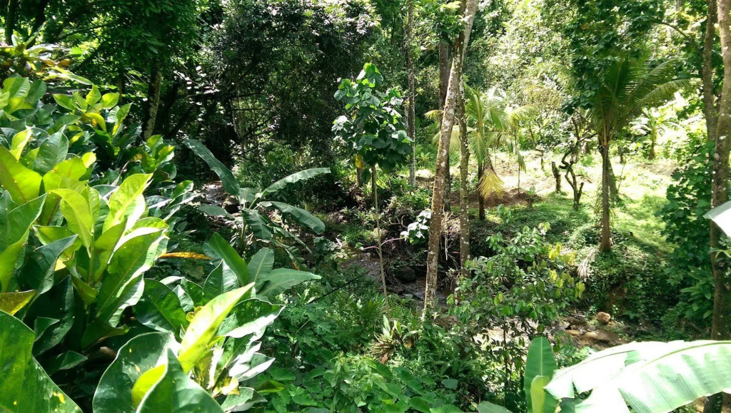 River Side House