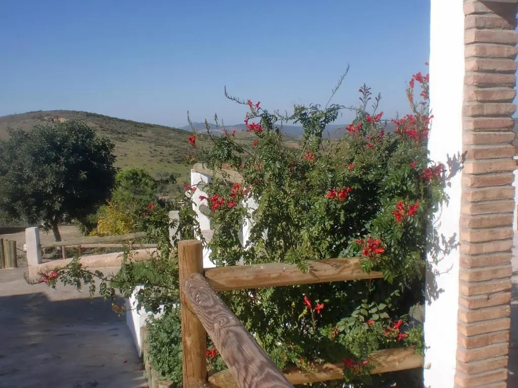 Horta da Quinta