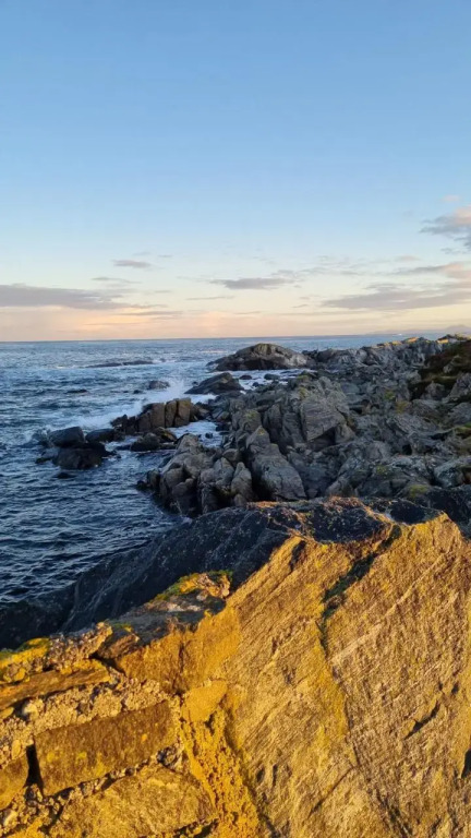 Runde Miljøsenter & Opplev Runde