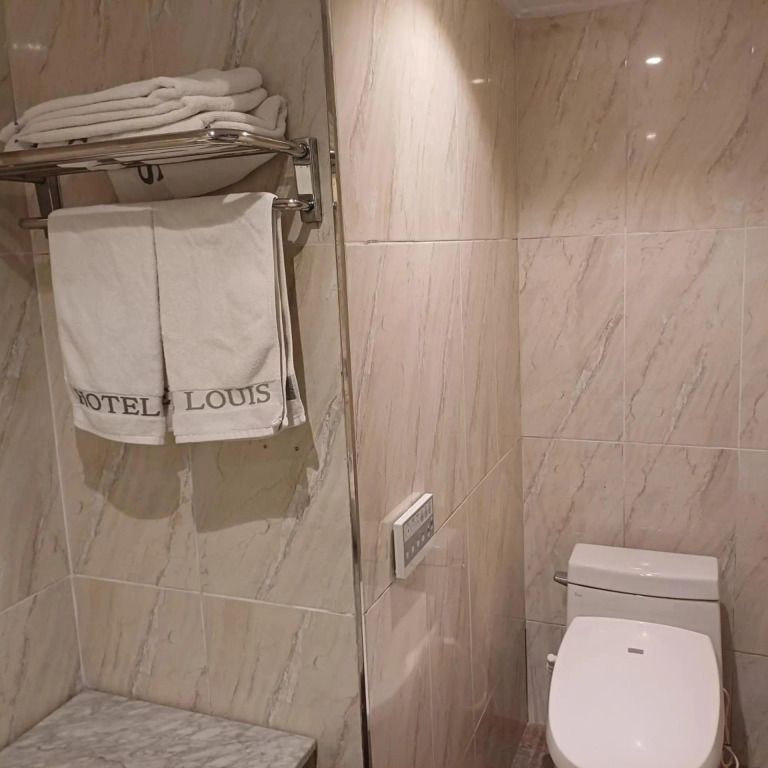 Louis Hotel