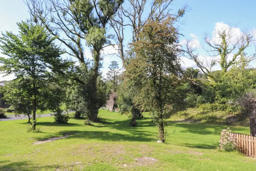 The Beeches