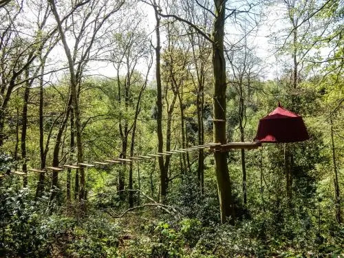 Woody Park