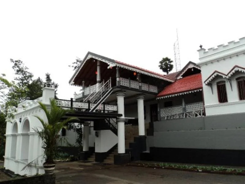Mount Field Resort