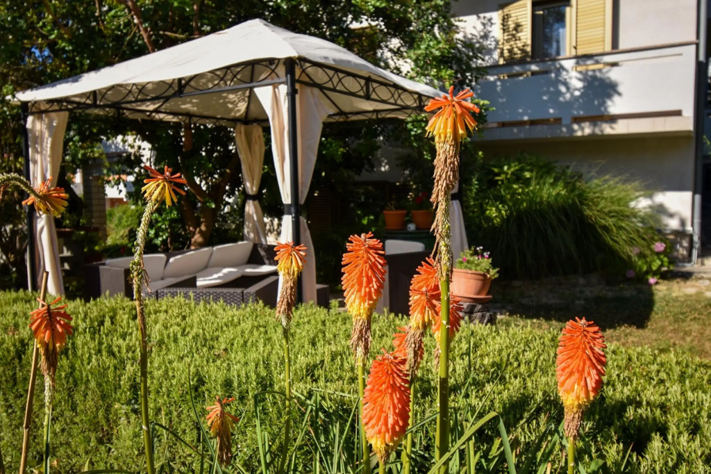 Frane - With Garden - A1