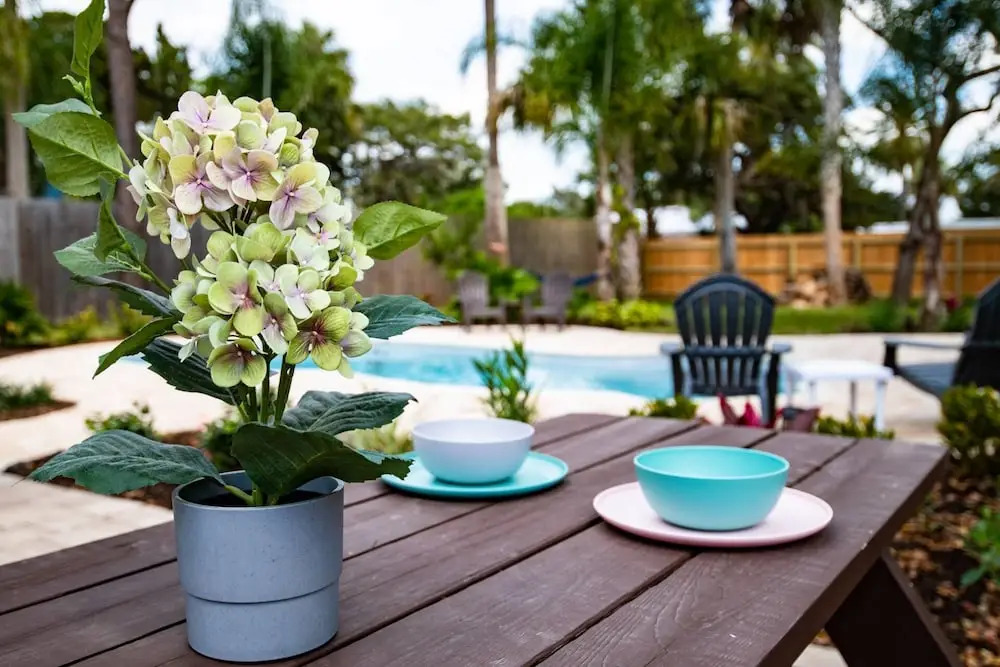 The Island Oasis