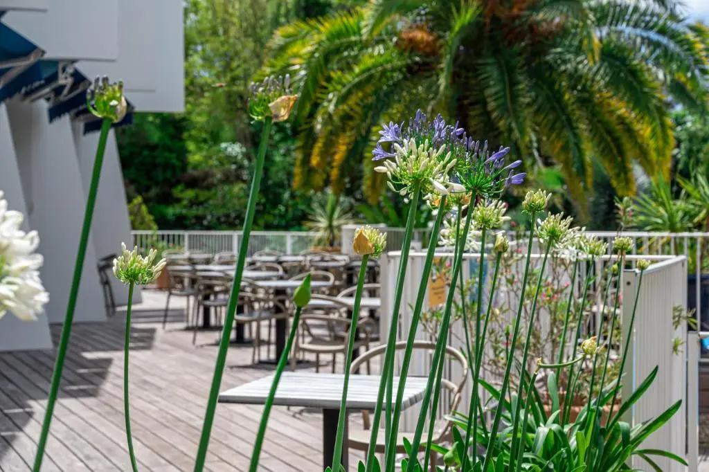 Hotel Le Quetzal