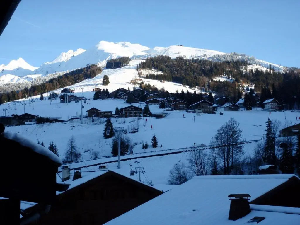 Appartement La Clusaz, 3 pièces, 6 personnes - FR-1-437-53