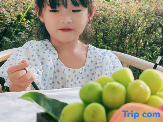 ZiYang No Difference·Tuopan Qingyuan Guesthouse