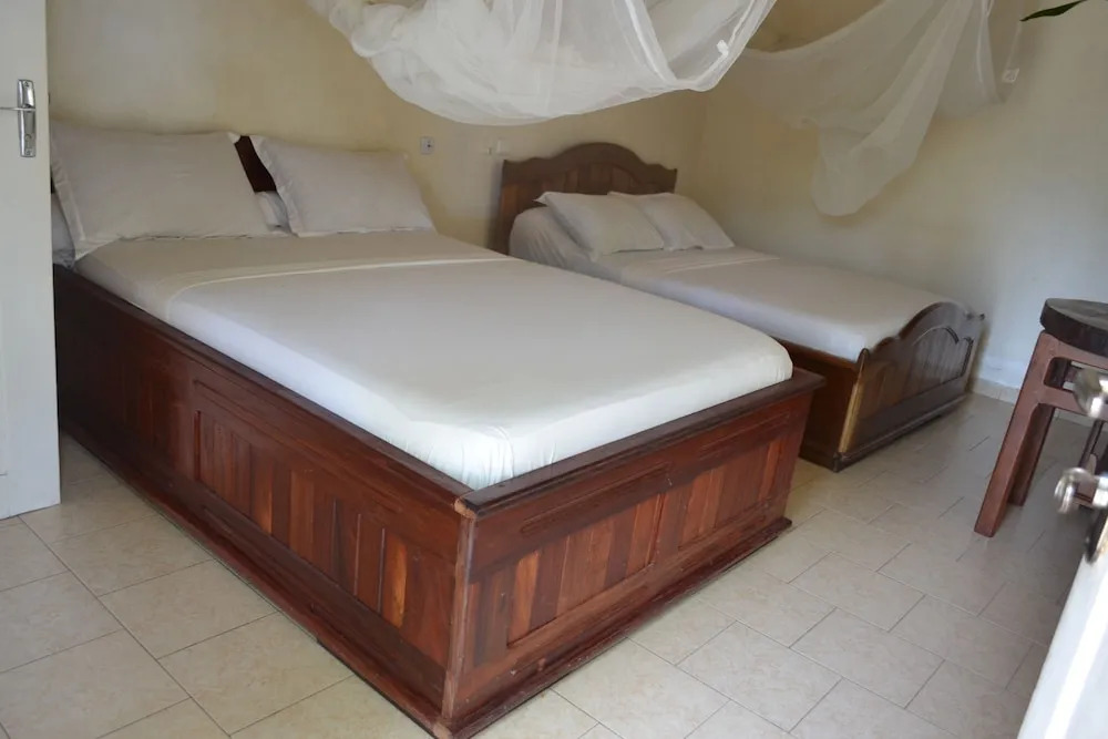Hotel Tara Plage