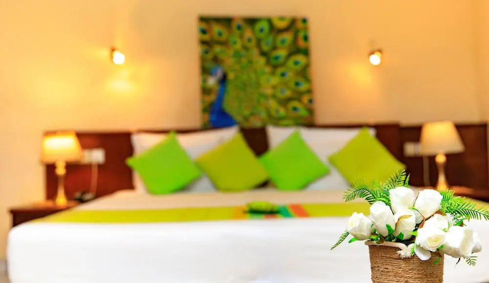 Ayurveda Spring Of Life Resort