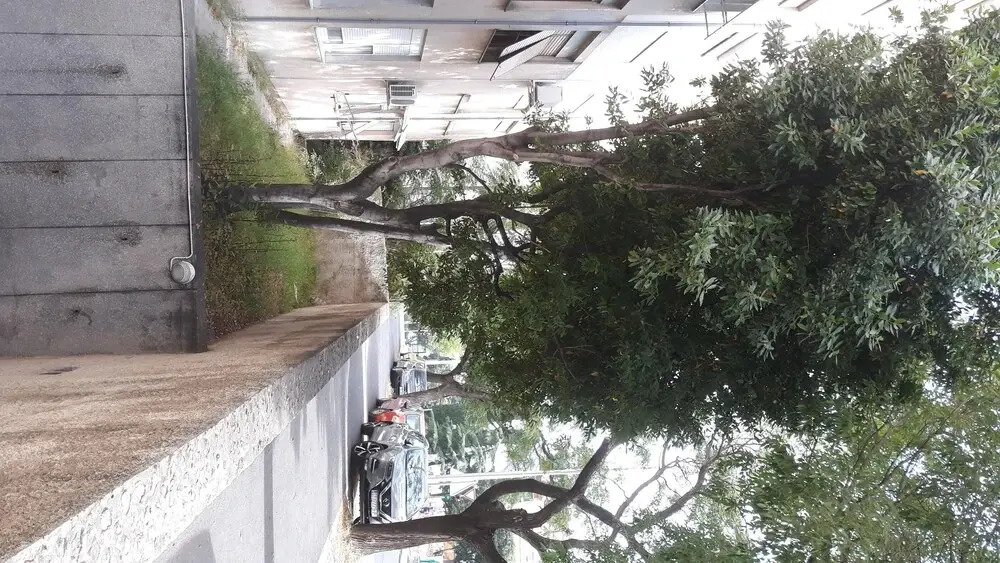 Apartment Marino