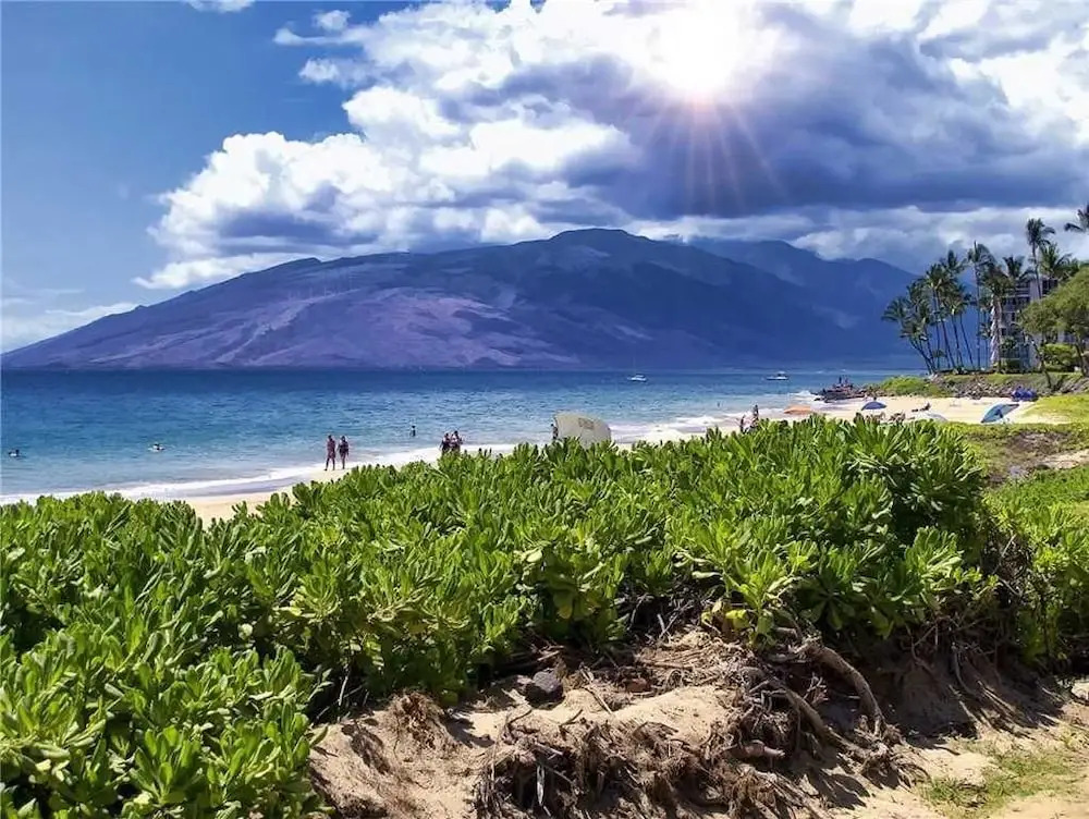 Maui Banyan P302 - Two Bedroom Condo