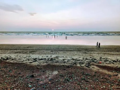 The Seaface