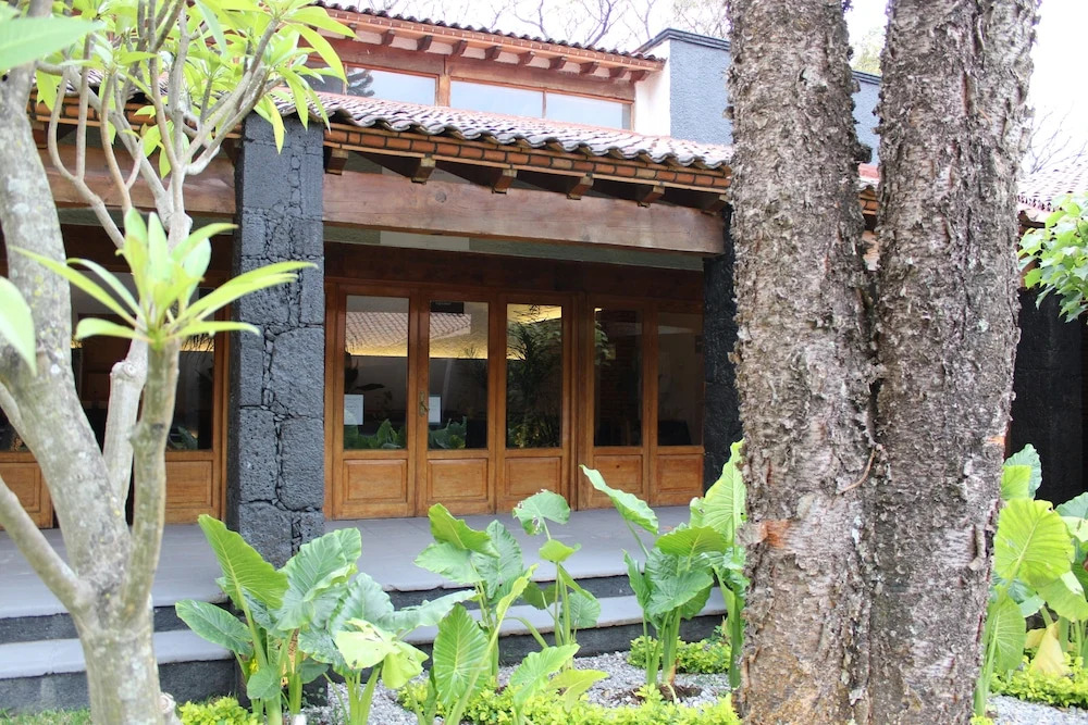 Orgánico Hotel Boutique TEPOZTLÁN
