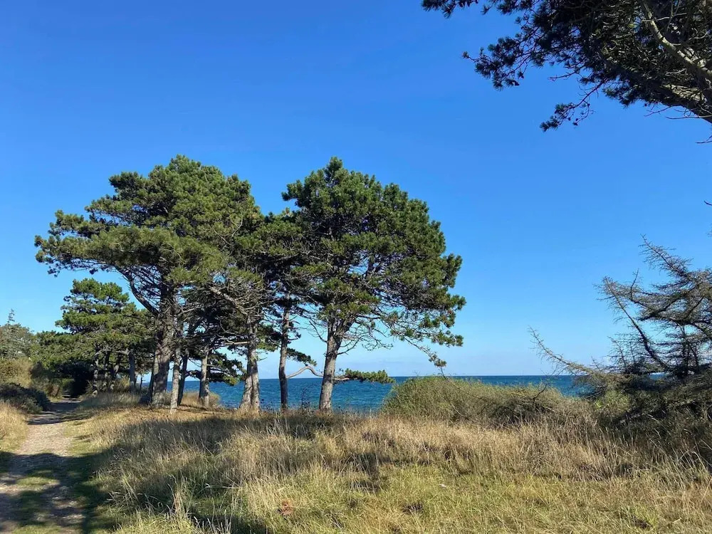 5 Star Holiday Home in Vejby