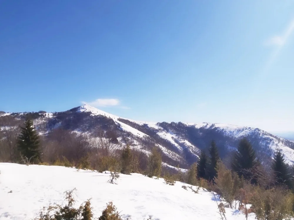 Zoi i Nika Kopaonik