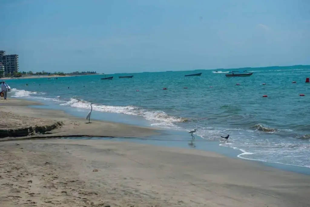 Acogedor con vista al mar en Condominio Zazue a 300 metros de la playa Bellohorizonte Santa Marta