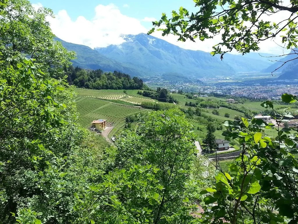 Agritur al Vigneto