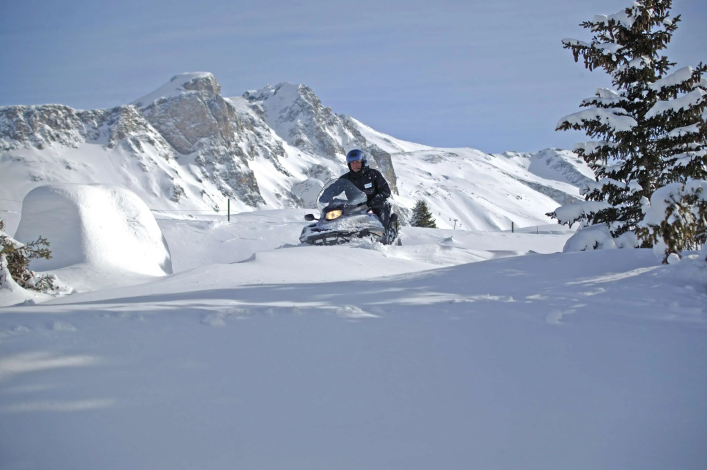 Hôtel Alpen Ruitor