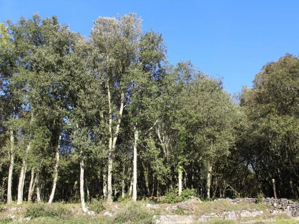 Gite La Roque-Gageac, 2 pièces, 2 personnes - FR-1-616-28