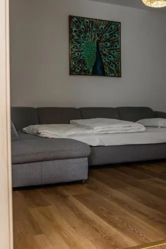 Sasu Apartment