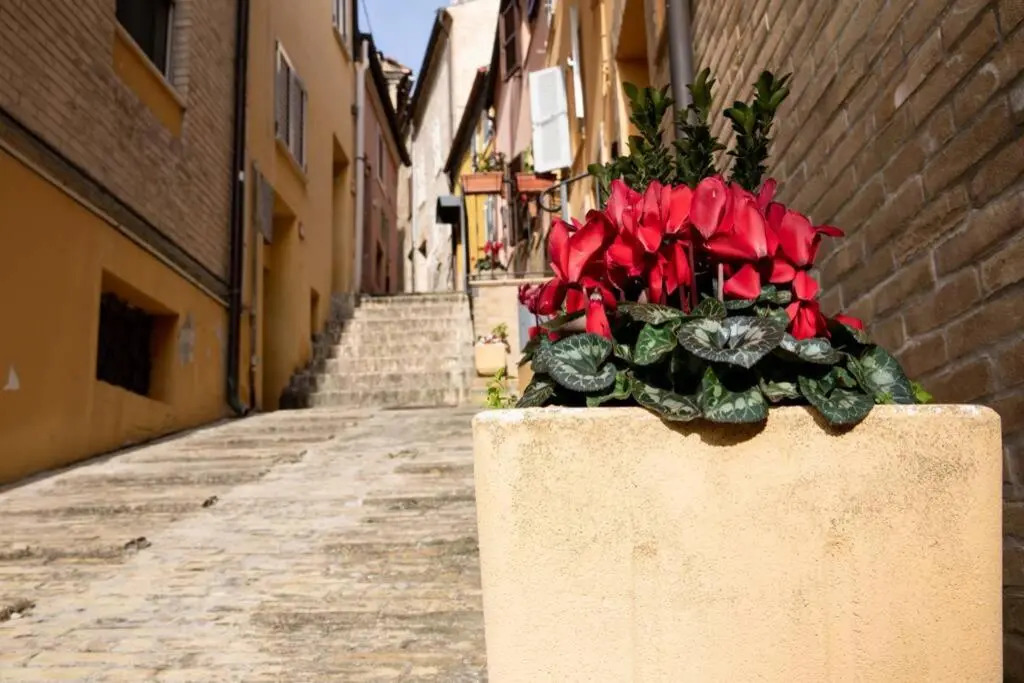 La Casetta - Casa Indipendente nel centro storico