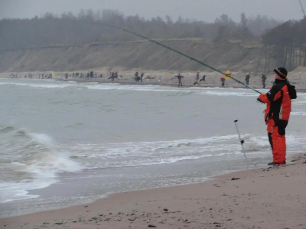 Viesu māja "Ozoliņi"