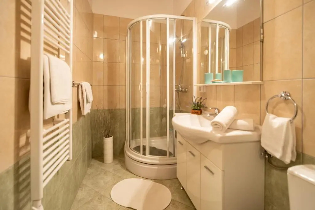 Apartment Ivo