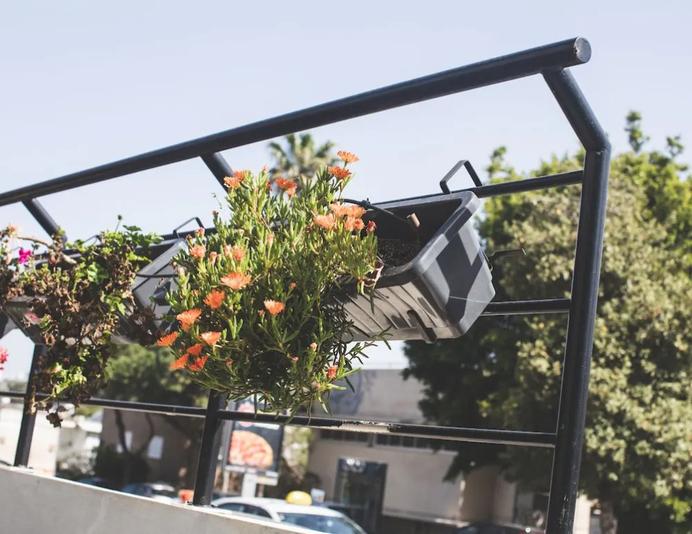 Carmel Boutique Apartments
