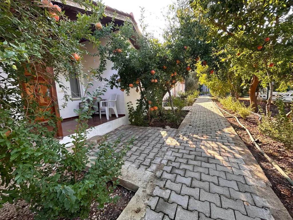 Olimpos Vadi Houses