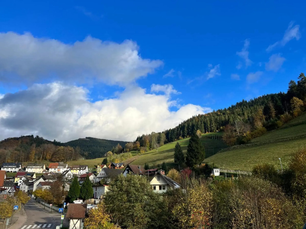 Ferienwohnung Schwarzwaldliebe