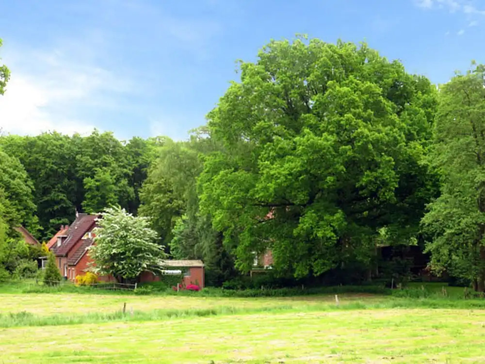 Land-gut-Hotel Waldesruh