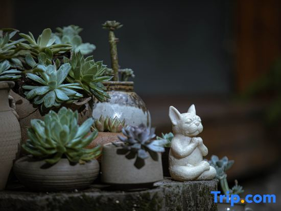 Dali Garden