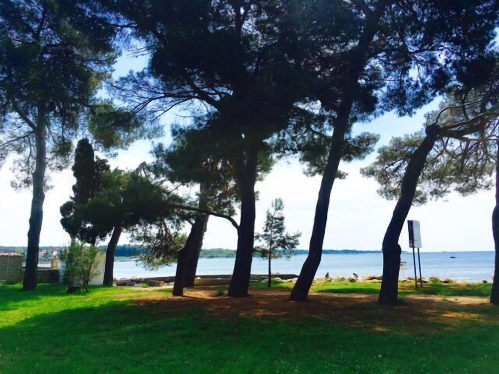 Apartment Mirella