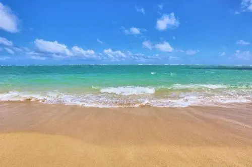 Lahaina Luxury Beach Condos