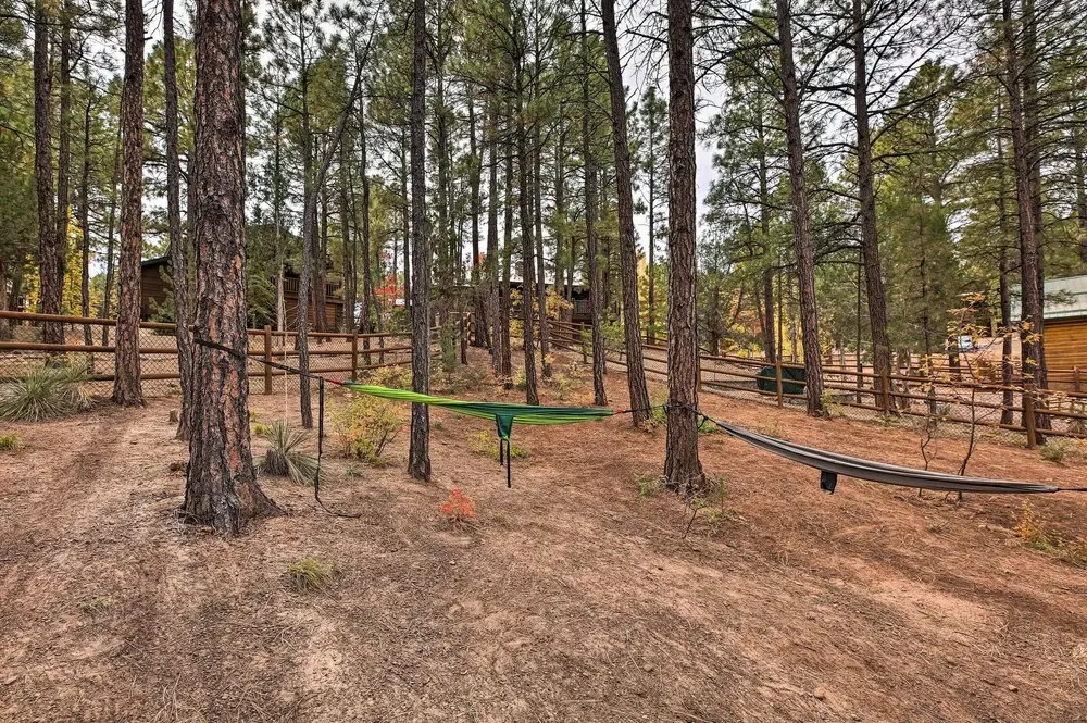 Trail Access: Pet-Friendly Cabin in Show Low