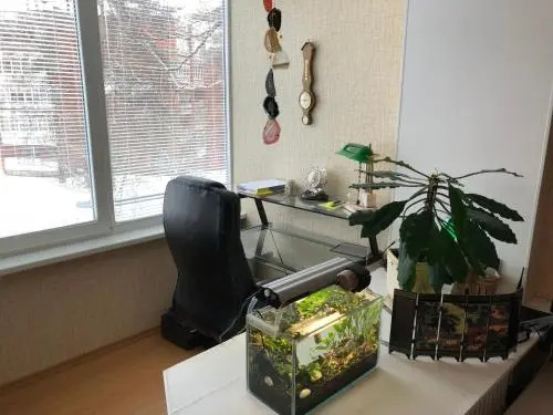 VIsagino Apartment