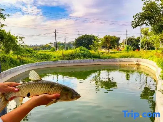 Wuxing Diaolou Guesthouse
