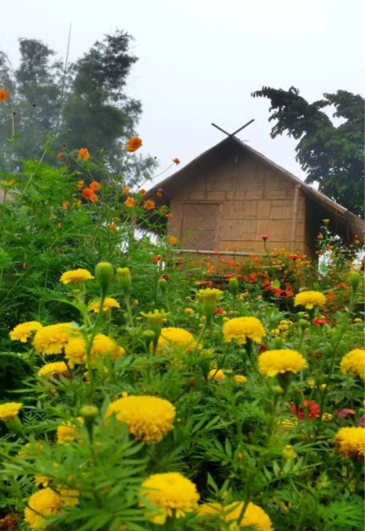 Baan AingDoi Homestay