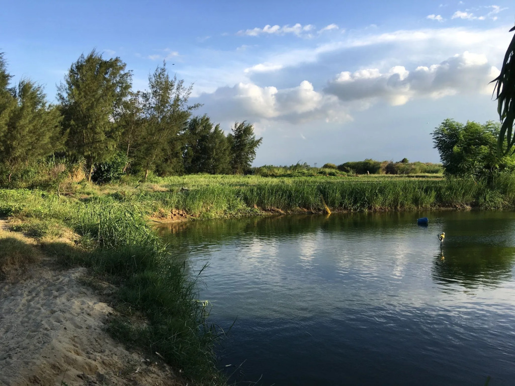 Riverside Hamlet Homestay & Villa