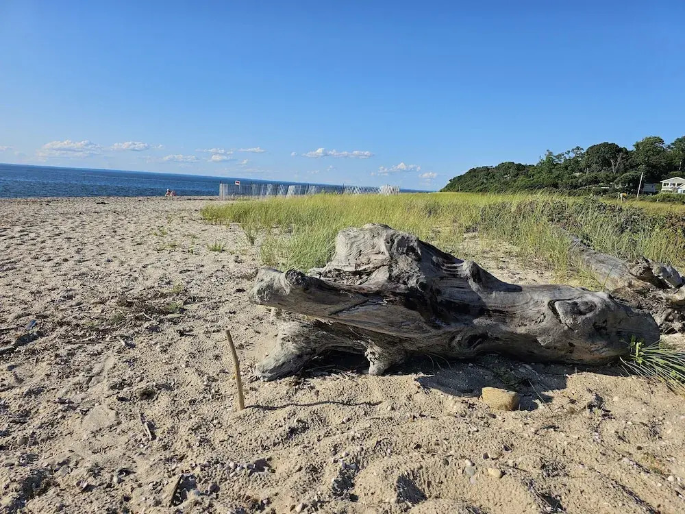 Vine & Sand--Southold NYs Newest B&B