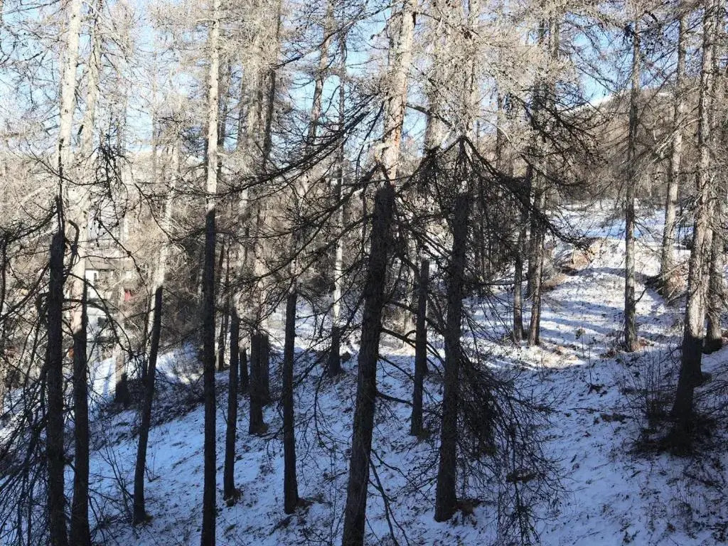 Studio Les Orres, 1 pièce, 4 personnes - FR-1-322-464