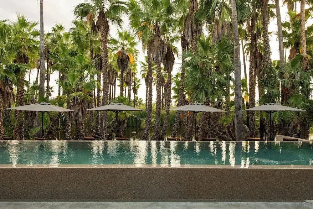Amet Nature Retreat