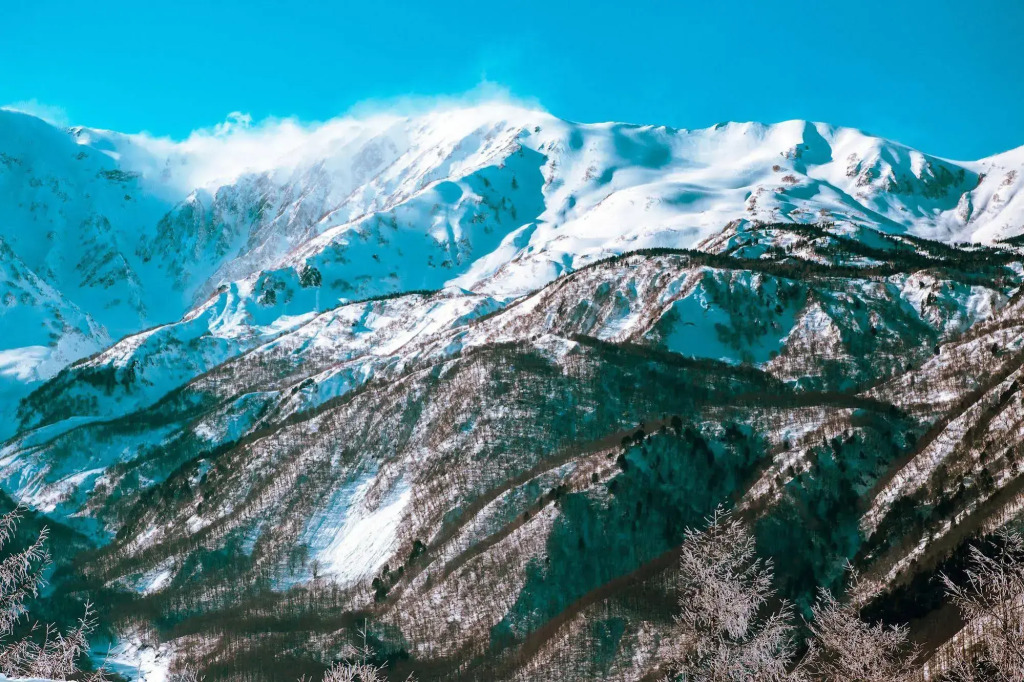 RedDoorLodge Hotel Hakuba