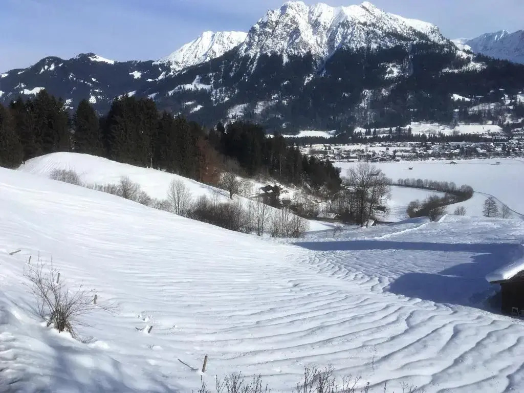 Alpenflair Ferienwohnung Whg 108