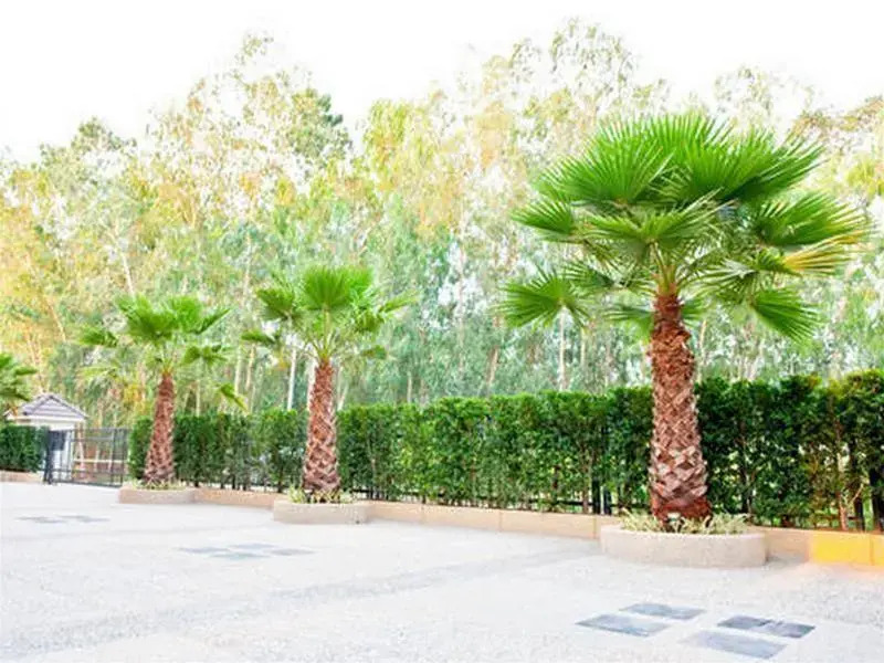 Green Point Resort